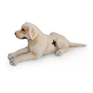 Labrador acostado