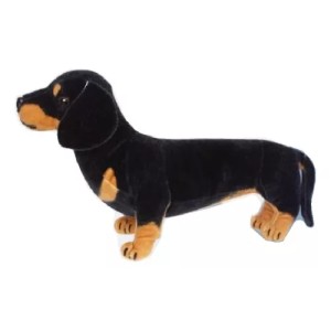 Perro salchicha