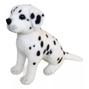Dalmata sentado