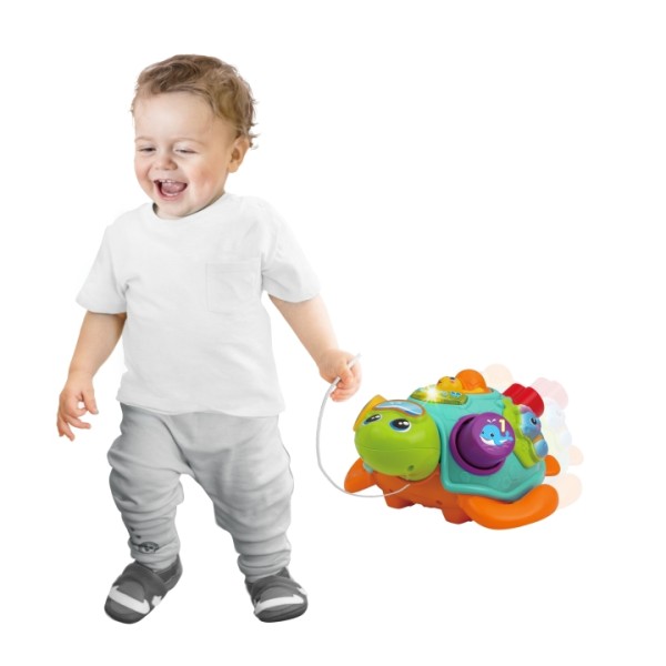 Pull along sort 'N learn turtle - Winfun - Imagen 2