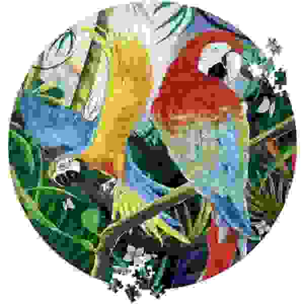 Puzzle Redondo - Guacamayos 500 Piezas - Imagen 2
