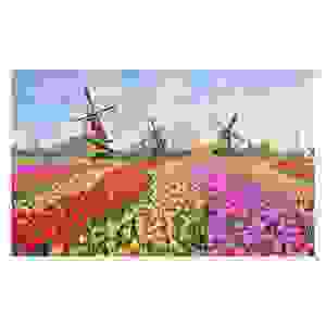 Rompecabezas Plástico Campo Flores, Holanda 1000 Piezas