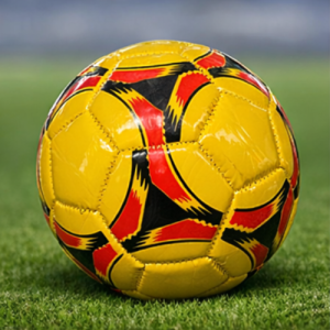 Pelota de futbol nº2