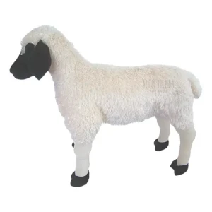 Oveja suffolk