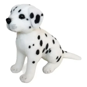Dalmata sentado