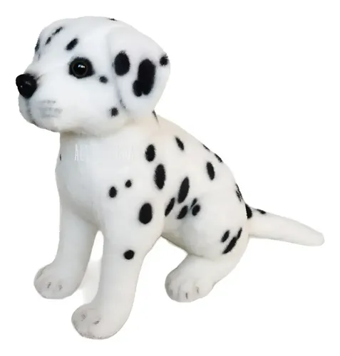 Dalmata sentado