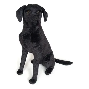 Labrador negro