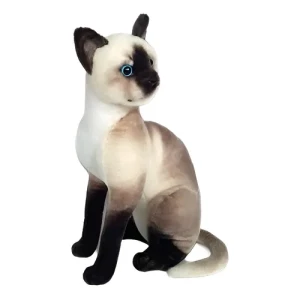 Gato siamés sentado