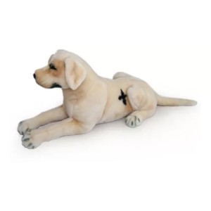 Labrador acostado